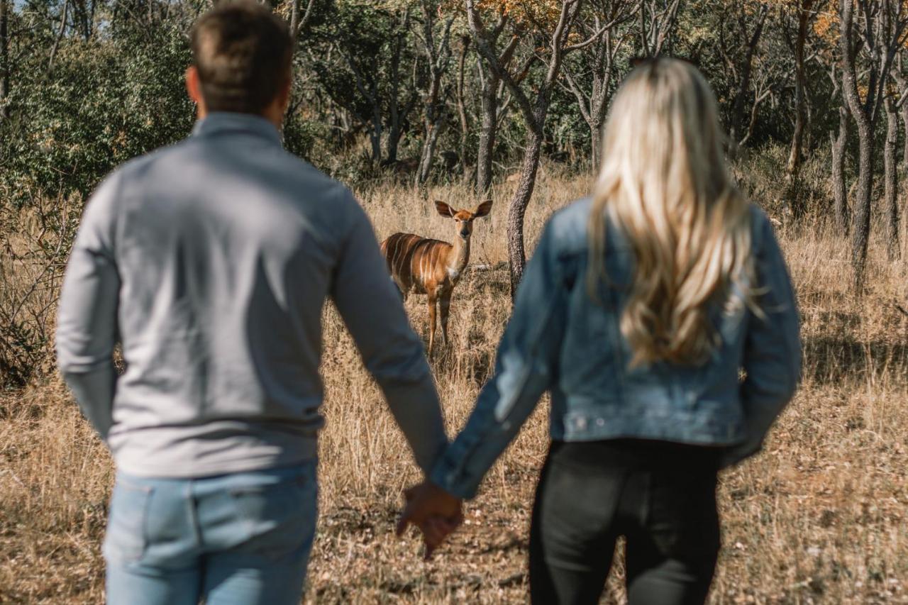 Kololo Game Reserve ฟาลวอเทอร์ ภายนอก รูปภาพ