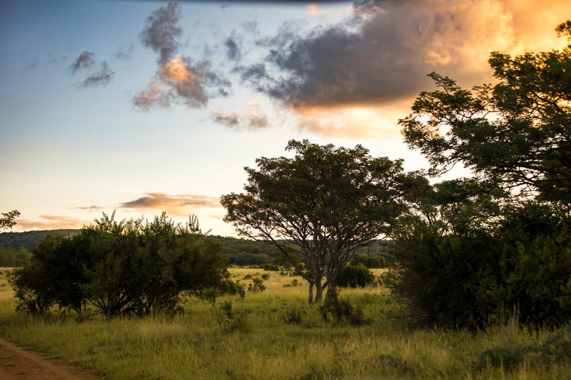 Kololo Game Reserve ฟาลวอเทอร์ ภายนอก รูปภาพ